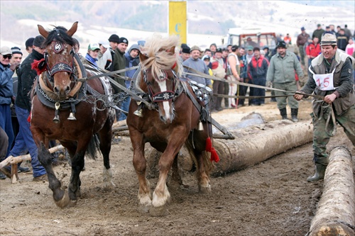 Lúčky2008e