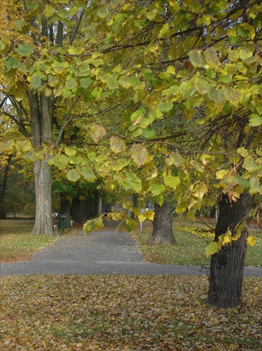 jesenný park