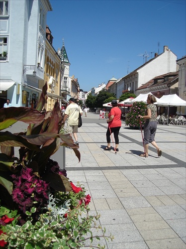 Piešťany - Winterova ulica