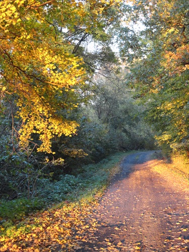 cesta ku hríbom