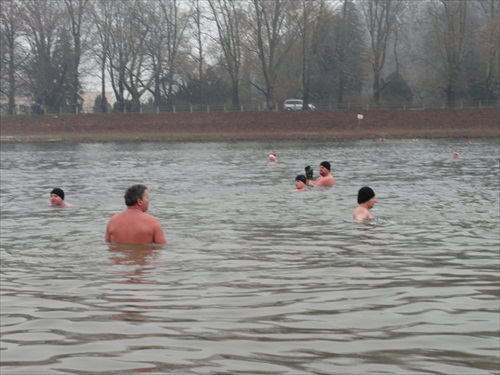 ľadové medvede v akcii