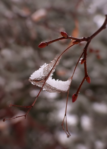 Dnešná...(snow edition)...:D