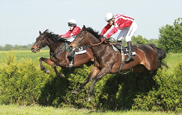 Steeplechase