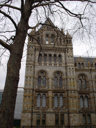 National History Museum