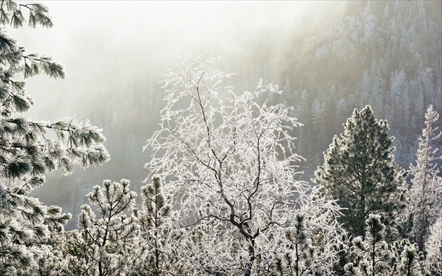 Tatry dnes