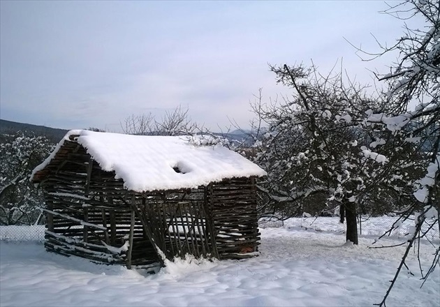Zimný dom