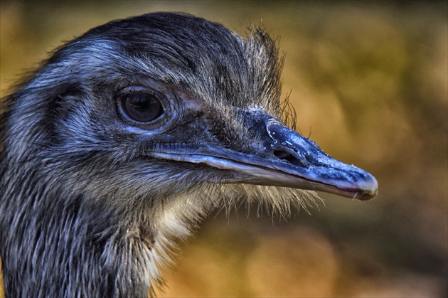 ZOO Bojnice