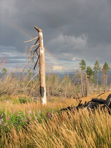 Tatry_2006