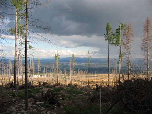 Tatry_2006_(8)