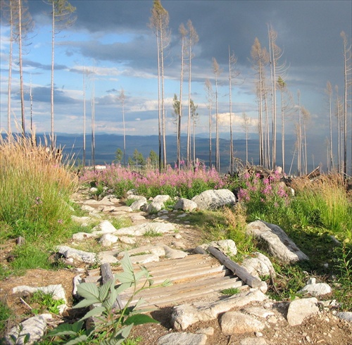 Tatry_2006)_(9)