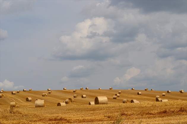 po žatve