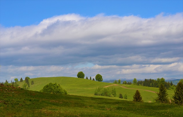 Zákľuky