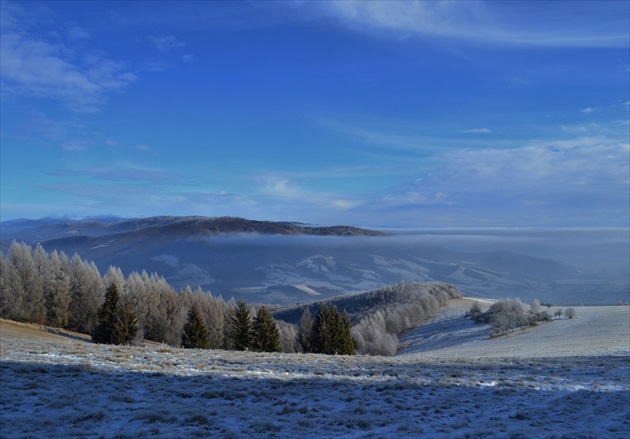 Pohľad z pasiečok na Ostrú