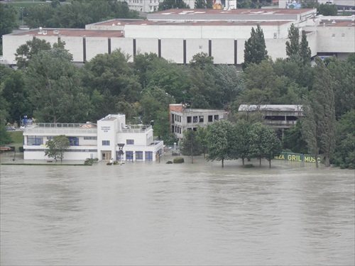 Veslársky klub