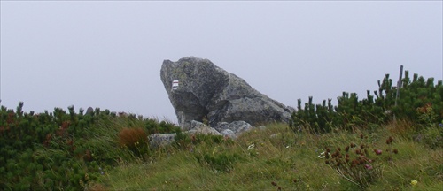 KING OF THE MOUNTAIN MEADOW