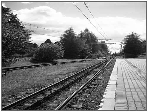 COG RAILWAY ( zubacka )