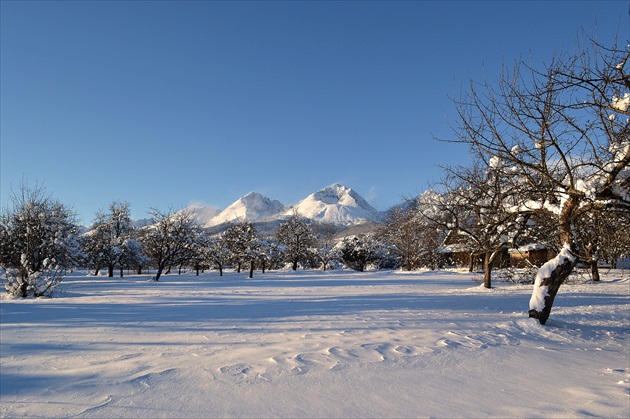 Zasnežené Tatry