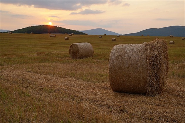 zapadovka