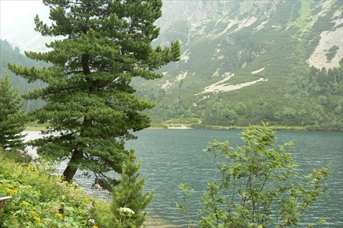 popradske pleso