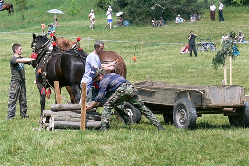 Deň koňa 2