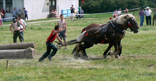 Deň koňa 21