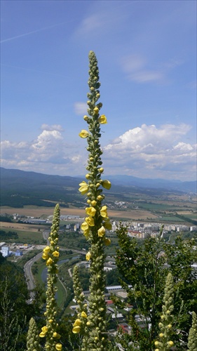 Bez názvu