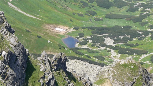 pleso