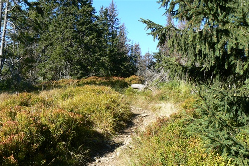 Nizke Tatry nad Certovicov