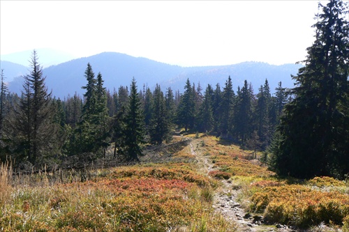 Niztke Tatry