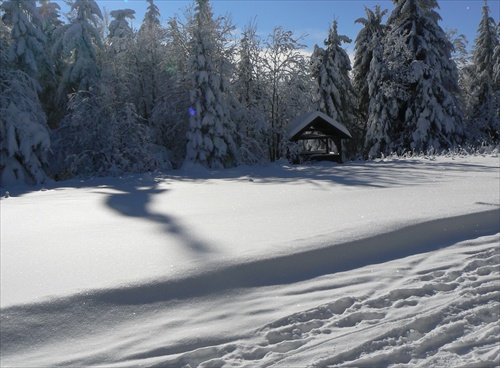 Slovenska zima