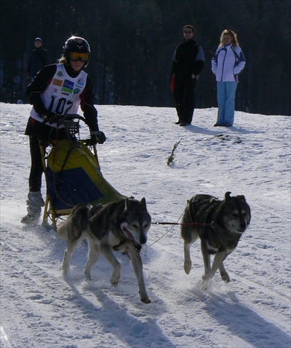 ME psích záprahov Donovaly 2008