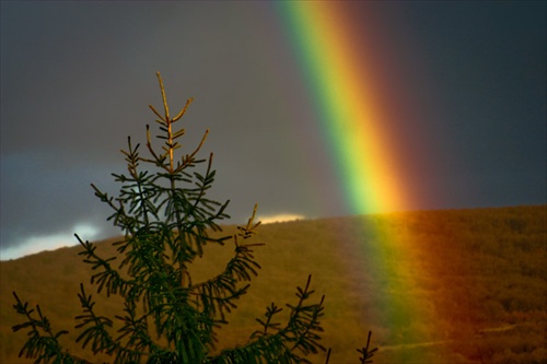 Dažďový oblúk - Rainbow