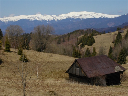 Bez názvu