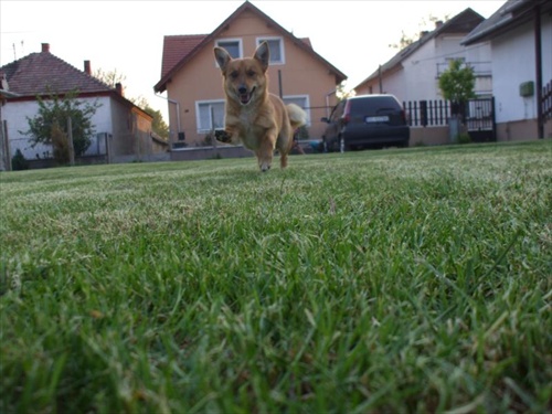 Už bežíííííííím :)