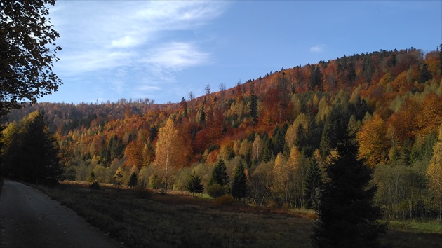 Dokonalá jeseň