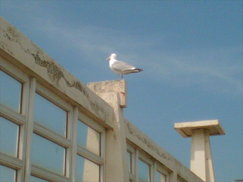 Blankenberge