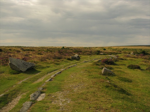 NP dartmoor5