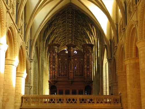 organ