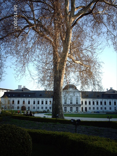 Prezidentsky palac