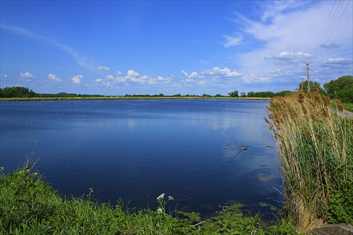 chovny rybnik....