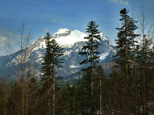 Západné Tatry