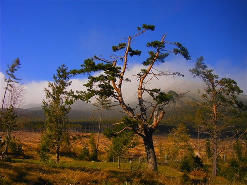 Tatranská savana