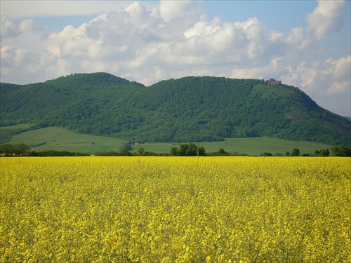 Žltozelená krajinka1