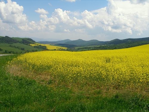 Žltozelená krajinka4