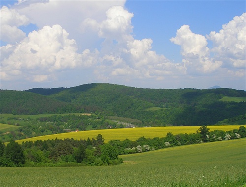 Žltozelená krajinka5