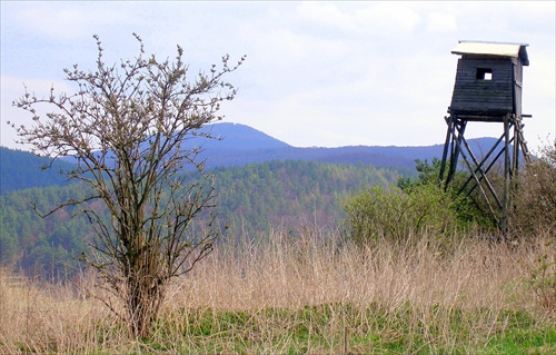 Na postriežke3