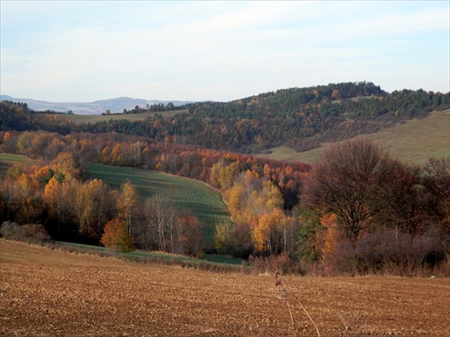 Šarišská vrchovina