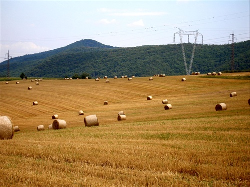 Po žatve