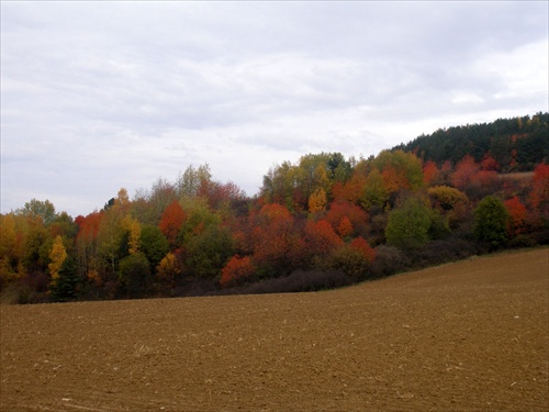 Šarišská vrchovina