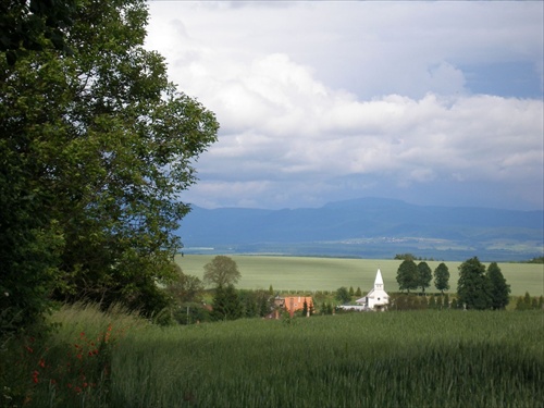 Šarišská vrchovina